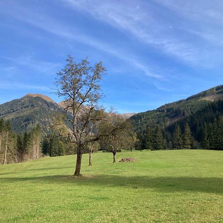 Schaffergut Appartements Donnersbachwald Kültér fotó