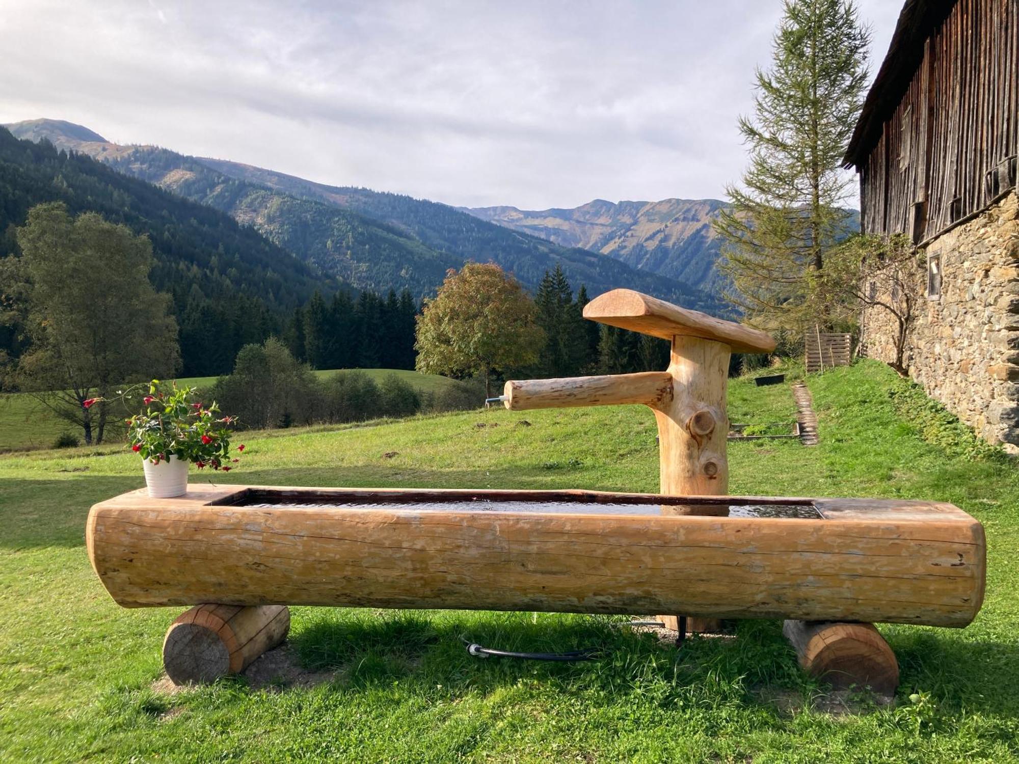 Schaffergut Appartements Donnersbachwald Kültér fotó