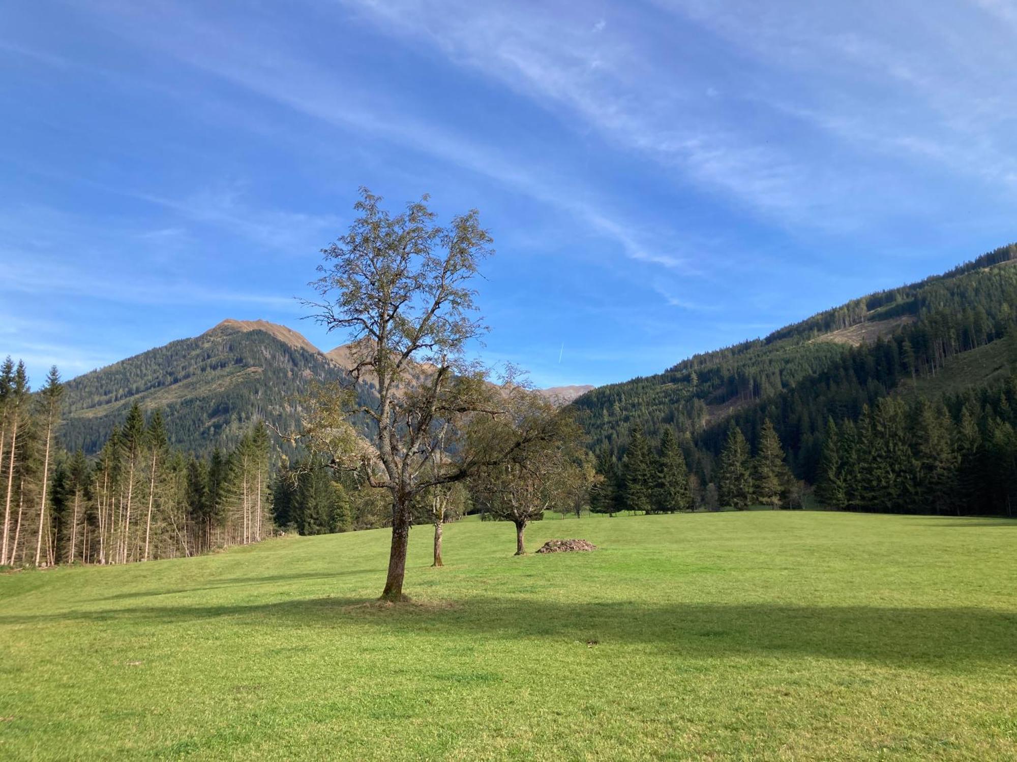 Schaffergut Appartements Donnersbachwald Kültér fotó