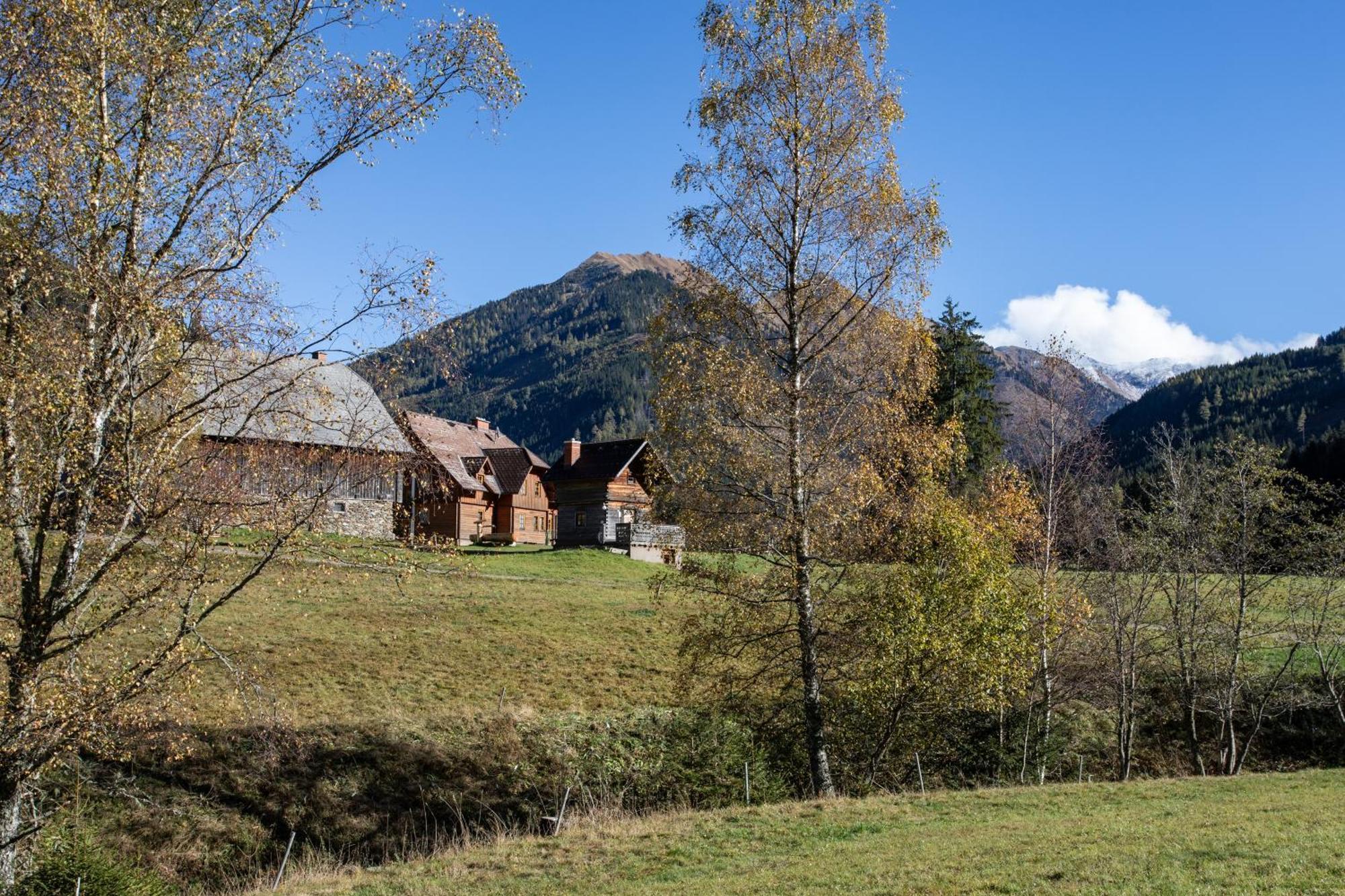 Schaffergut Appartements Donnersbachwald Kültér fotó