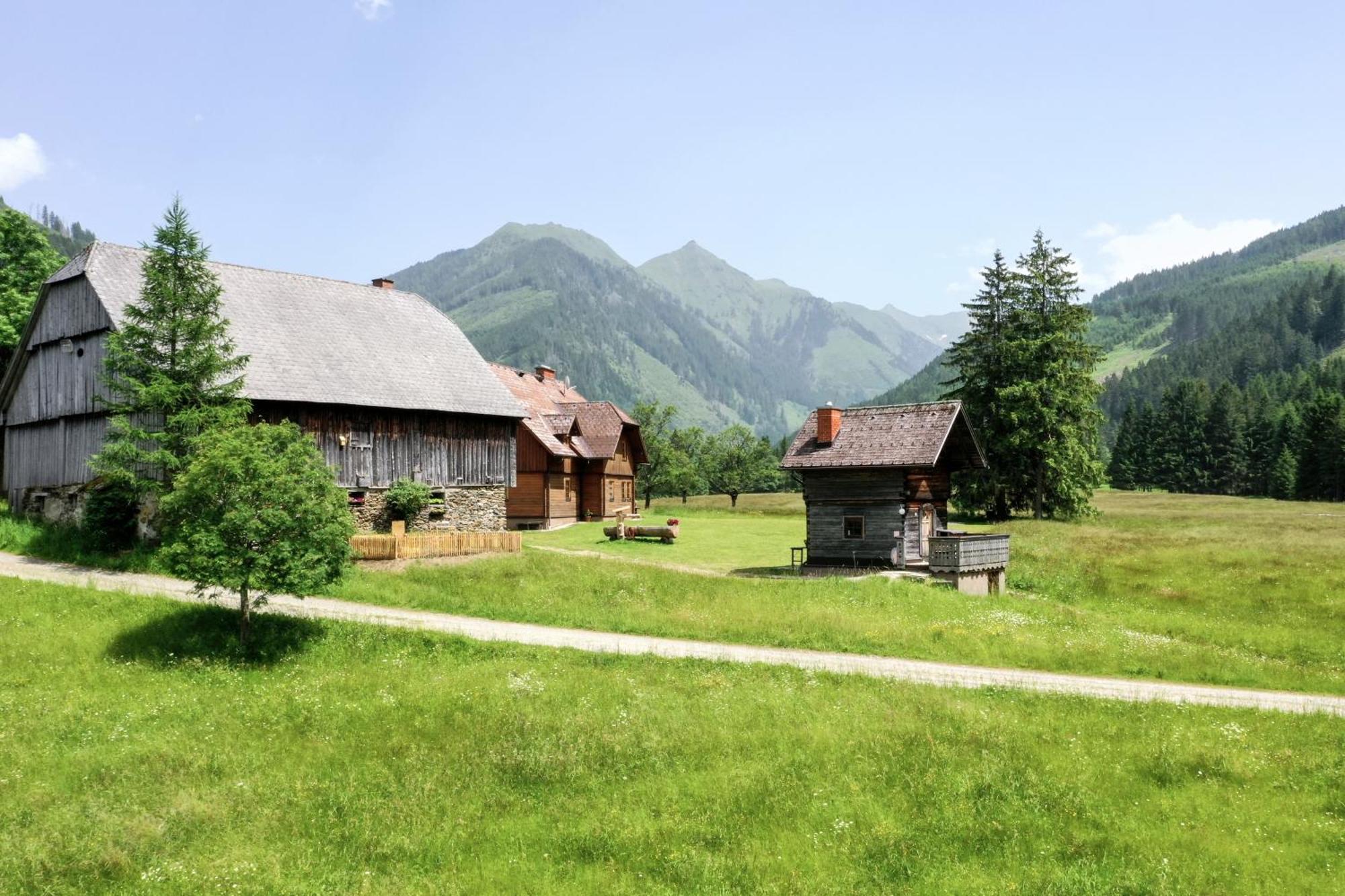Schaffergut Appartements Donnersbachwald Kültér fotó