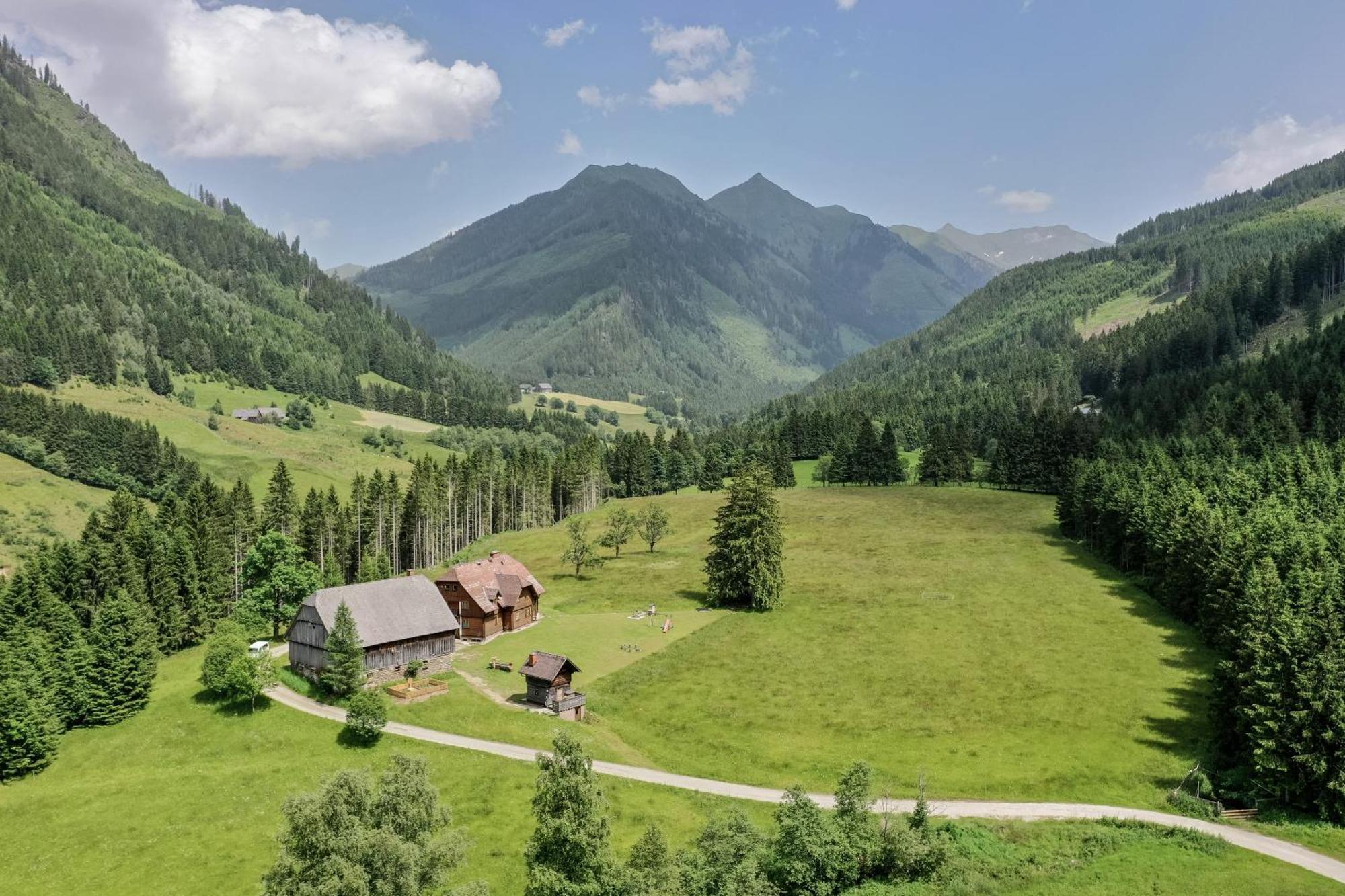 Schaffergut Appartements Donnersbachwald Kültér fotó