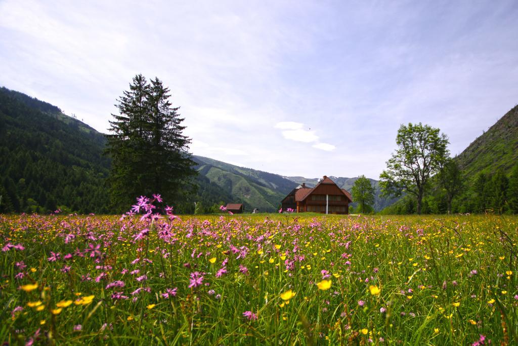 Schaffergut Appartements Donnersbachwald Kültér fotó